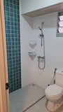 Glass Shower Screen Removal