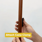 Rollz Motion 2-in-1 Rollator Pushchair