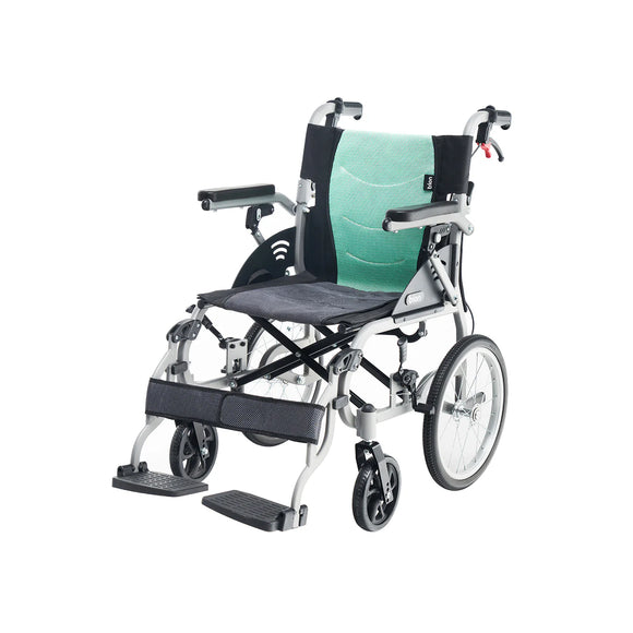 Bion Kompac Pushchair K110