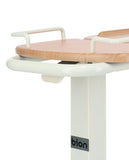 Bion Overbed Table D200