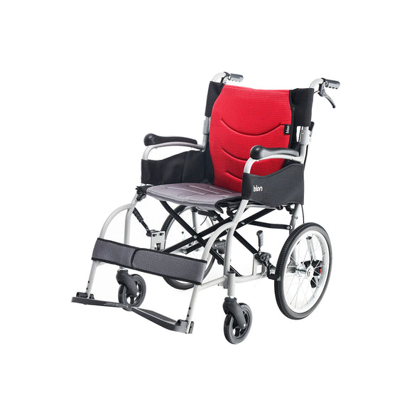 Bion Postur Pushchair S110