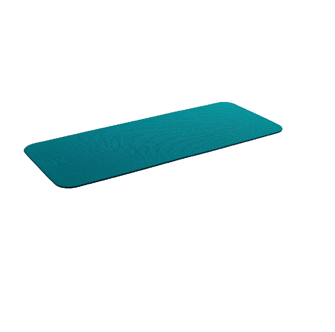 AIREX Mat Fitline 180 Easy Wheels Pte Ltd